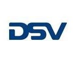 DSV1