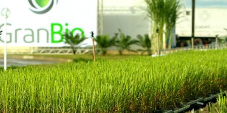 GranBio e Grupo Solvay compram ativos de tecnologia da Cobalt