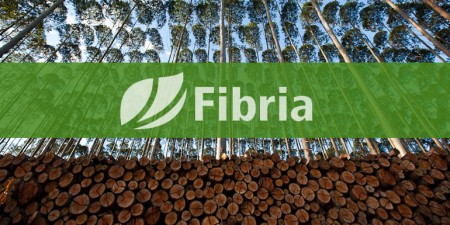 Grupo J&F negocia a compra da Fibria