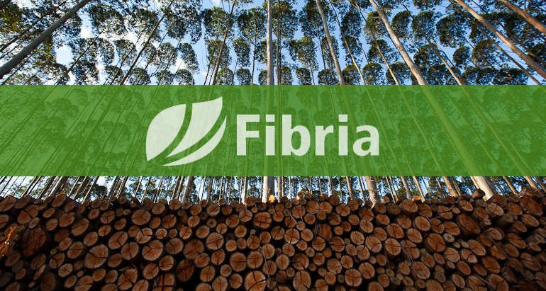 Grupo J&F negocia a compra da Fibria