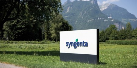 Tempo de consolidação na área de agroquímicos e sementes