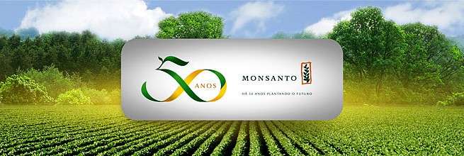 Monsanto pode assumir papel em aquisições de agroquímicas, dizem executivos
