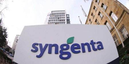 Syngenta avalia aquisições, joint ventures e venda de ativos