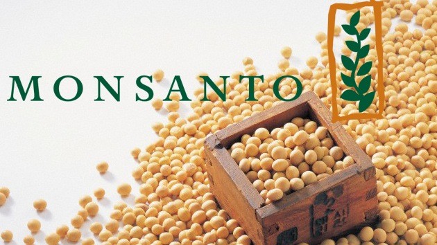 Monsanto está aberta a aquisições no Brasil, diz presidente