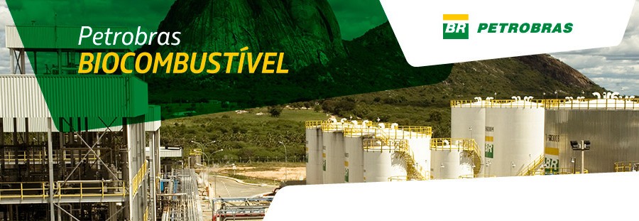 Petrobras Biocombustível conclui aportes na sucroalcooleira Guarani