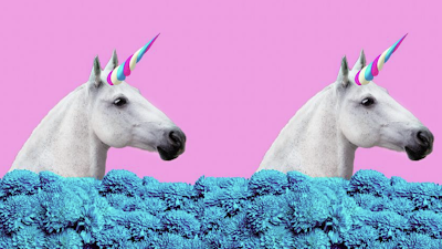 Bill Ackman agora caça ‘unicórnios maduros’