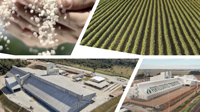 “Aquisições no setor profissionalizam distribuição”