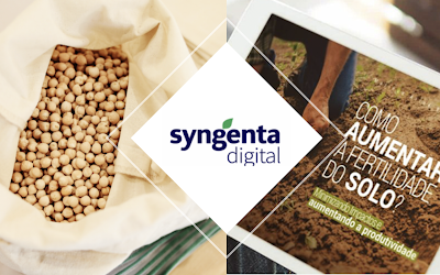 Syngenta cria holding para suas startups