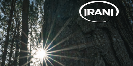 Grupo Dimed e Irani Papel e Embalagem definem preço de oferta de ações; confira valores