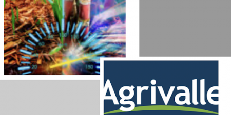 Com Agrivalle, Tarpon avança no agronegócio