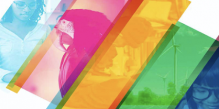 Pandemia acelera adoção da agenda ESG no Brasil