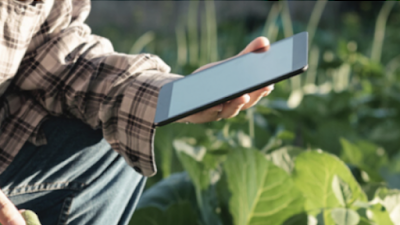 Startup recebe aporte de US$ 2 milhões para escalar API de dados agrícolas unificados