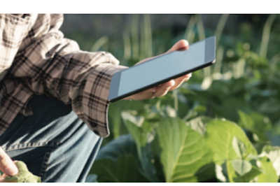 Startup recebe aporte de US$ 2 milhões para escalar API de dados agrícolas unificados