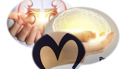 Hapvida compra grupo de saúde Promed, avaliado em R$ 1,5 bilhão