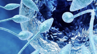 Fleury executa estratégia digital e verticaliza nichos