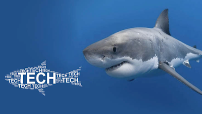 O tubarão acordou: a Advent vai para cima das empresas de tech e startups