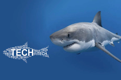 O tubarão acordou: a Advent vai para cima das empresas de tech e startups