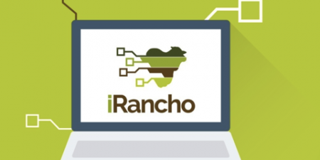 AgTech de gestão pecuária recebe aporte de R$1,5 milhão