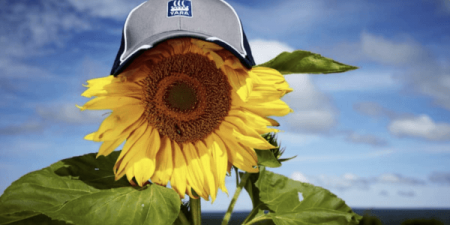 Fertilizantes: Yara vende participação na Lifeco da Líbia