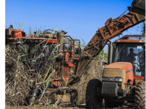UISA lucra mais na safra e avalia IPO