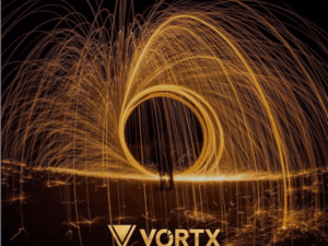 Com novas fusões e aquisições, Vórtx aposta em IPO fora do Brasil